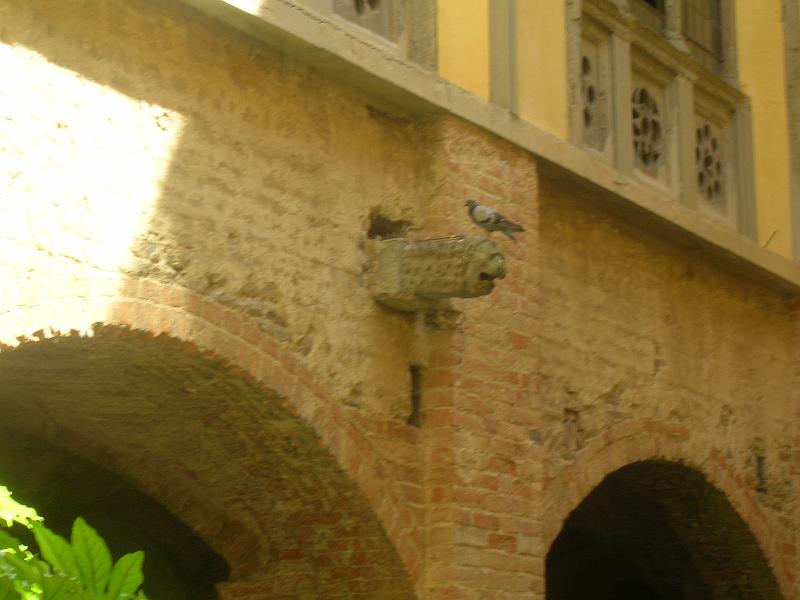 DSCN1680.JPG - a gargoyle that was home to a bird