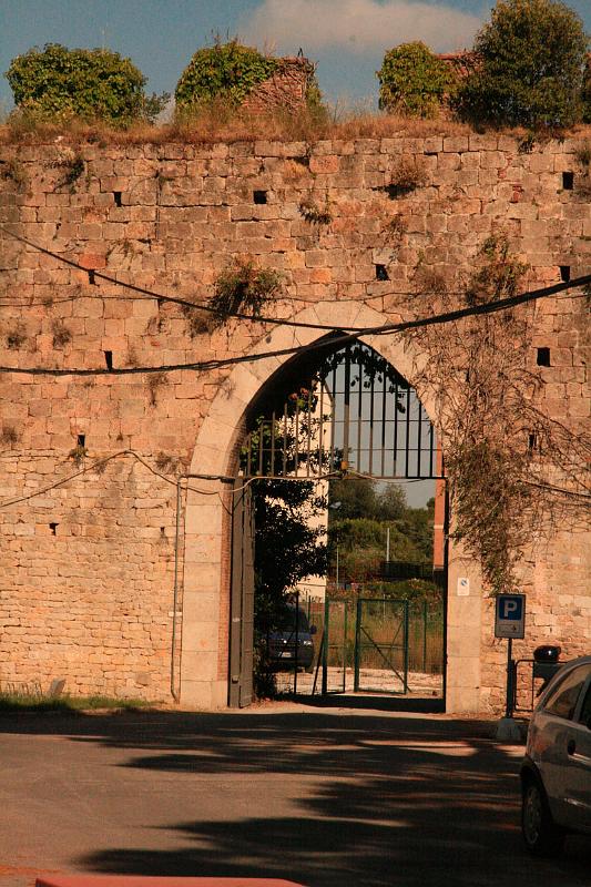 DSCN1721a.JPG - Overgrown fortifications (crenellations, US crenelations) on top of an ancient stone city wall in the Italian city of Pisa. (courtesty of holoweb.net)